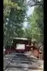 日光二荒山神社の{uncategorized: "未分類", other: "その他", undefined: "問題あり", building: "その他建物", grave: "お墓", sacred_gate: "鳥居", guardian: "狛犬", statue: "像", buddha: "仏像", history: "歴史", nature: "自然", garden: "庭園", animal: "動物", pagoda: "塔", temizu: "手水舎", mountain_gate: "山門・神門", sanctuary: "本殿・本堂", subordinate: "末社・摂社", art: "芸術", scenery: "景色", jizo: "地蔵", ema: "絵馬", goshuin: "御朱印", omikuji: "おみくじ", items: "授与品その他", amulet: "お守り", goshuincho: "御朱印帳", eats: "食事", festival: "お祭り", votive_dance: "神楽", shichigosan: "七五三参", wedding: "結婚式", experience: "体験その他", initially: "初詣", around: "周辺", anti_infection: "感染症対策"}