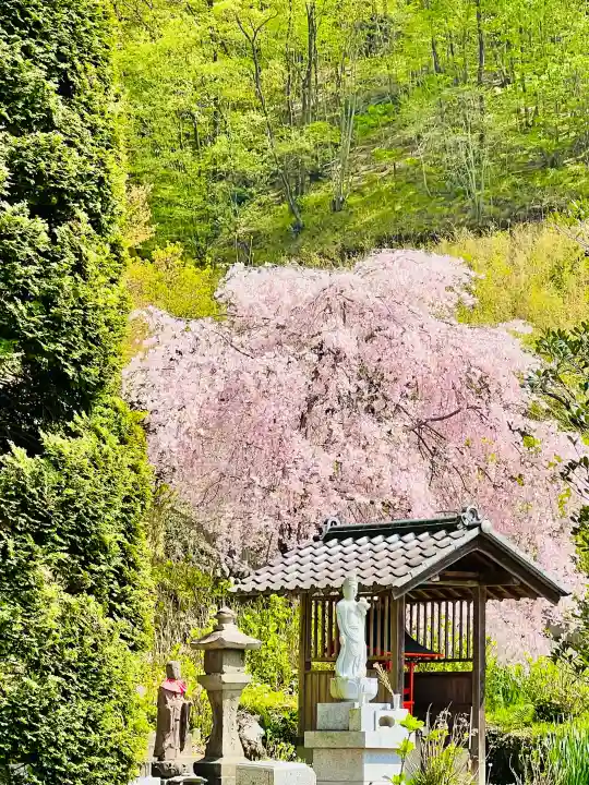 正蓮寺の{uncategorized: "未分類", other: "その他", undefined: "問題あり", building: "その他建物", grave: "お墓", sacred_gate: "鳥居", guardian: "狛犬", statue: "像", buddha: "仏像", history: "歴史", nature: "自然", garden: "庭園", animal: "動物", pagoda: "塔", temizu: "手水舎", mountain_gate: "山門・神門", sanctuary: "本殿・本堂", subordinate: "末社・摂社", art: "芸術", scenery: "景色", jizo: "地蔵", ema: "絵馬", goshuin: "御朱印", omikuji: "おみくじ", items: "授与品その他", amulet: "お守り", goshuincho: "御朱印帳", eats: "食事", festival: "お祭り", votive_dance: "神楽", shichigosan: "七五三参", wedding: "結婚式", experience: "体験その他", initially: "初詣", around: "周辺", anti_infection: "感染症対策"}