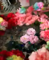 札幌諏訪神社の手水舎