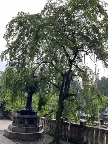 最乗寺（道了尊）(神奈川県)
