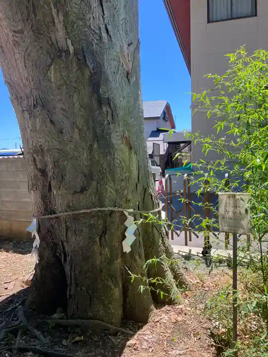 三ツ石神社(岩手県)