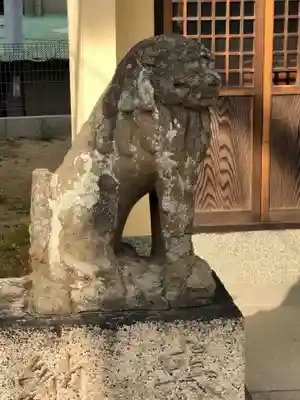 舞子六神社/まいこむの宮の狛犬
