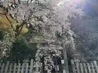 大豊神社(京都府)