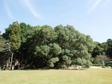 クスの森若宮神社(山口県)