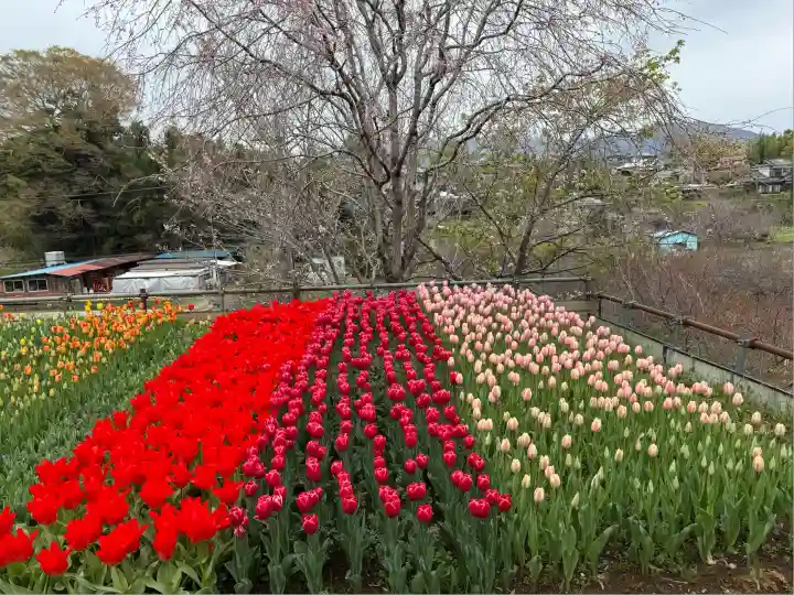 泉蔵寺(神奈川県)