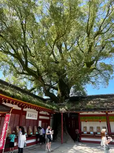 太宰府天満宮の{uncategorized: "未分類", other: "その他", undefined: "問題あり", building: "その他建物", grave: "お墓", sacred_gate: "鳥居", guardian: "狛犬", statue: "像", buddha: "仏像", history: "歴史", nature: "自然", garden: "庭園", animal: "動物", pagoda: "塔", temizu: "手水舎", mountain_gate: "山門・神門", sanctuary: "本殿・本堂", subordinate: "末社・摂社", art: "芸術", scenery: "景色", jizo: "地蔵", ema: "絵馬", goshuin: "御朱印", omikuji: "おみくじ", items: "授与品その他", amulet: "お守り", goshuincho: "御朱印帳", eats: "食事", festival: "お祭り", votive_dance: "神楽", shichigosan: "七五三参", wedding: "結婚式", experience: "体験その他", initially: "初詣", around: "周辺", anti_infection: "感染症対策"}
