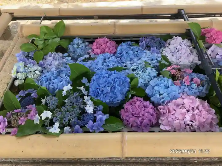 伊太祁曽神社(和歌山県)