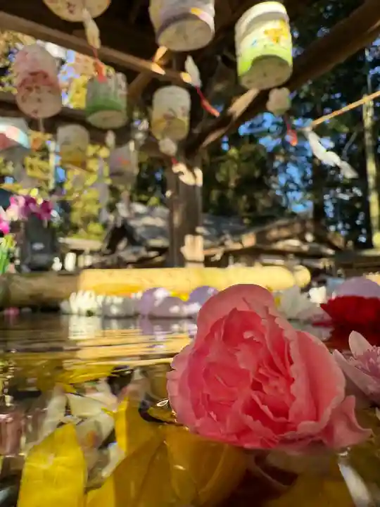 光丸山 法輪寺(栃木県)