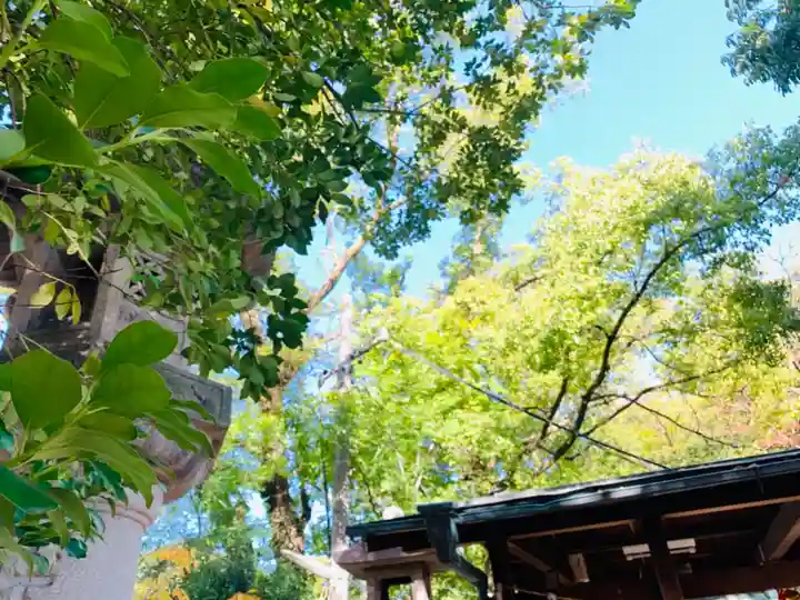 川原神社の自然