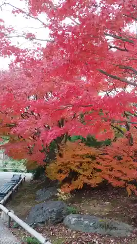 筥崎宮の庭園