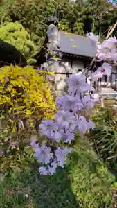 普濟寺(栃木県)(2023年04月01日(土) 21時12分58秒投稿)