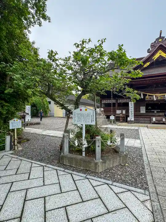 矢奈比賣神社(見付天神)(静岡県)