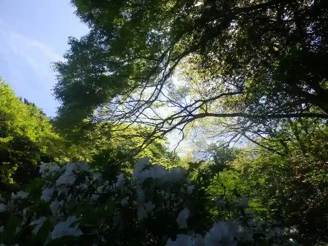 安國論寺(安国論寺)の自然