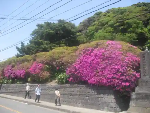 安養院　(田代寺）の周辺