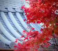 普元寺(愛知県)