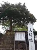 八重垣神社の庭園
