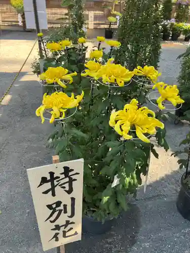 喜多院(埼玉県)