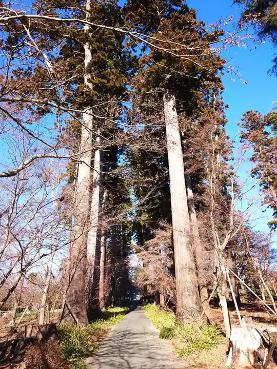 八幡宮(茨城県)