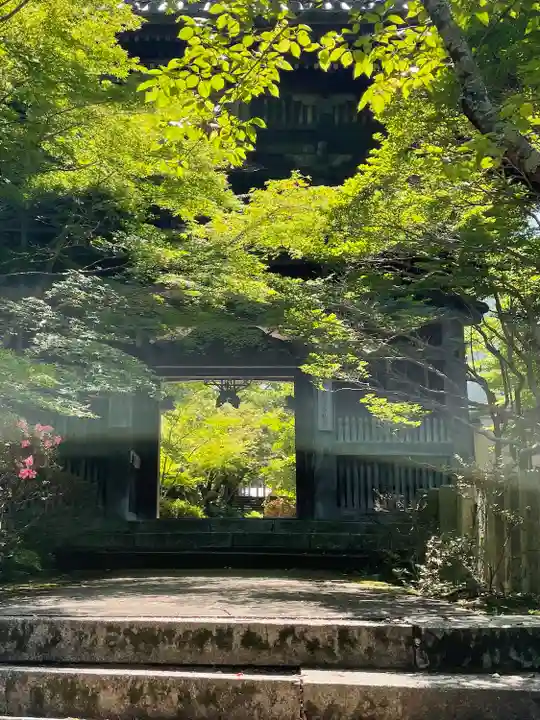 松尾寺の山門・神門