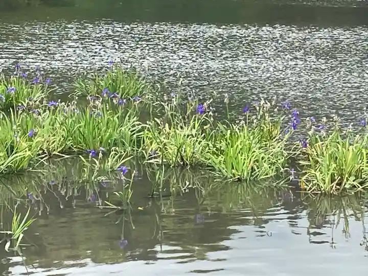 伊勢神宮外宮(豊受大神宮)(三重県)