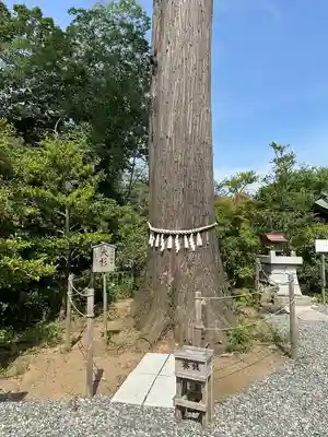 鶴峯八幡宮(千葉県)