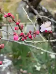 梅香寺の自然