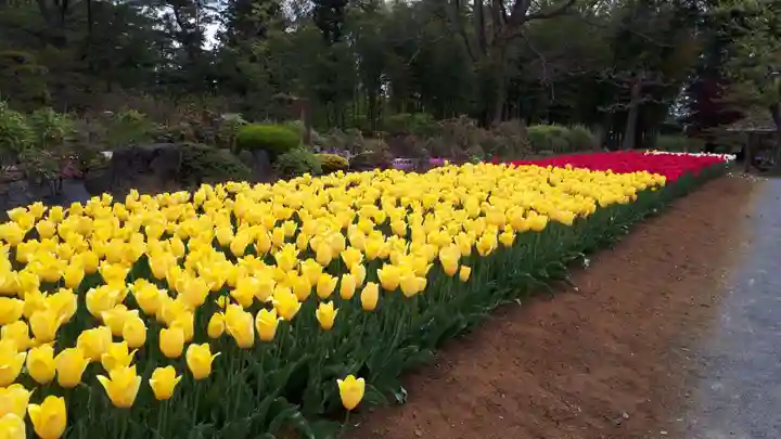 滑川神社 - 仕事と子どもの守り神の自然