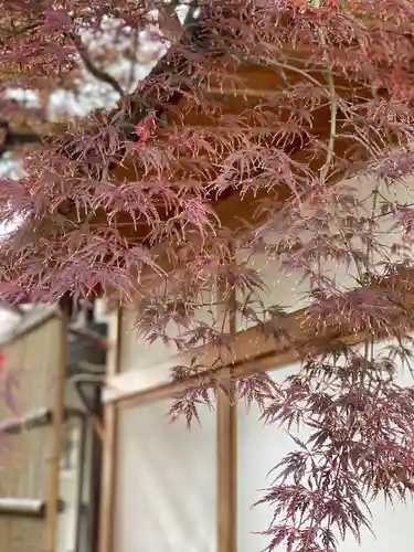 安井金比羅宮(京都府)