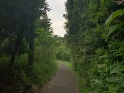 日吉神社の周辺