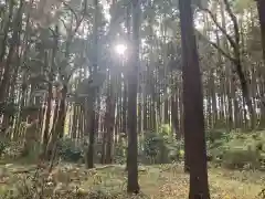 青山神社(茨城県)