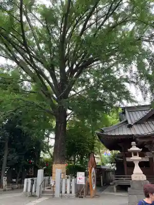 田無神社(東京都)