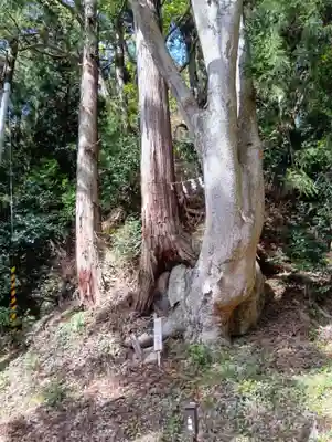 木幡山隠津島神社(二本松市)(福島県)