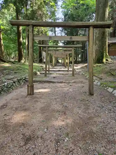 蘭宇氣白神社の{uncategorized: "未分類", other: "その他", undefined: "問題あり", building: "その他建物", grave: "お墓", sacred_gate: "鳥居", guardian: "狛犬", statue: "像", buddha: "仏像", history: "歴史", nature: "自然", garden: "庭園", animal: "動物", pagoda: "塔", temizu: "手水舎", mountain_gate: "山門・神門", sanctuary: "本殿・本堂", subordinate: "末社・摂社", art: "芸術", scenery: "景色", jizo: "地蔵", ema: "絵馬", goshuin: "御朱印", omikuji: "おみくじ", items: "授与品その他", amulet: "お守り", goshuincho: "御朱印帳", eats: "食事", festival: "お祭り", votive_dance: "神楽", shichigosan: "七五三参", wedding: "結婚式", experience: "体験その他", initially: "初詣", around: "周辺", anti_infection: "感染症対策"}