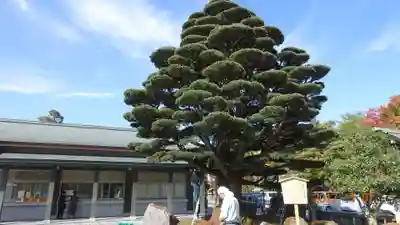 石川護國神社のその他建物
