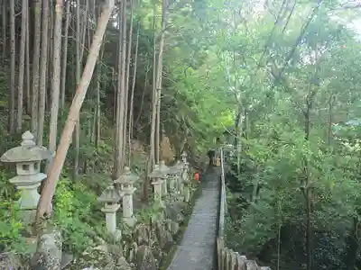 阿賀神社(滋賀県)