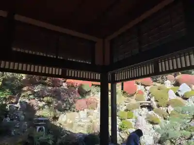 柳谷観音　楊谷寺(京都府)