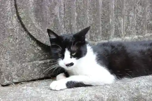 水澤寺(水澤観世音)の動物