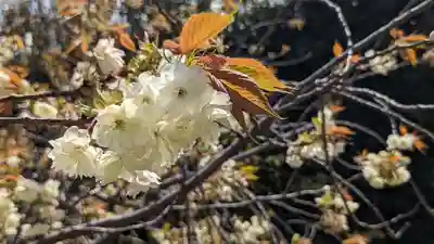 橋寺 放生院(京都府)