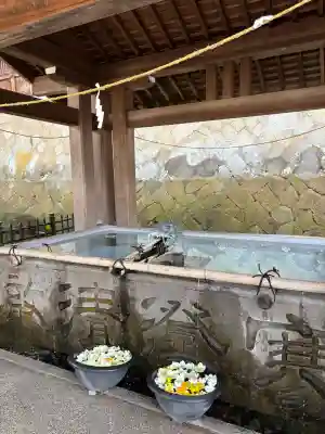 櫻山八幡宮の{uncategorized: "未分類", other: "その他", undefined: "問題あり", building: "その他建物", grave: "お墓", sacred_gate: "鳥居", guardian: "狛犬", statue: "像", buddha: "仏像", history: "歴史", nature: "自然", garden: "庭園", animal: "動物", pagoda: "塔", temizu: "手水舎", mountain_gate: "山門・神門", sanctuary: "本殿・本堂", subordinate: "末社・摂社", art: "芸術", scenery: "景色", jizo: "地蔵", ema: "絵馬", goshuin: "御朱印", omikuji: "おみくじ", items: "授与品その他", amulet: "お守り", goshuincho: "御朱印帳", eats: "食事", festival: "お祭り", votive_dance: "神楽", shichigosan: "七五三参", wedding: "結婚式", experience: "体験その他", initially: "初詣", around: "周辺", anti_infection: "感染症対策"}