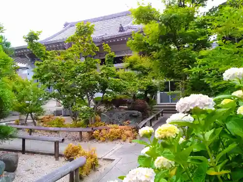 光明禅寺の自然