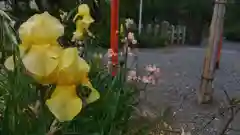 平野神社の自然