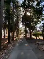 下熊野神社(千葉県)