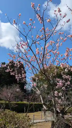 隨心院（随心院）(京都府)