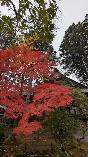 真正極楽寺（真如堂）(京都府)