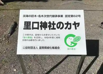 八幡神社の自然