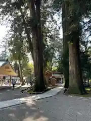 白山比咩神社(石川県)