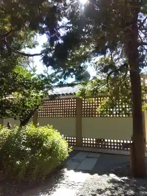 高徳院の本殿・本堂