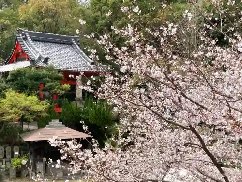 善光寺の{uncategorized: "未分類", other: "その他", undefined: "問題あり", building: "その他建物", grave: "お墓", sacred_gate: "鳥居", guardian: "狛犬", statue: "像", buddha: "仏像", history: "歴史", nature: "自然", garden: "庭園", animal: "動物", pagoda: "塔", temizu: "手水舎", mountain_gate: "山門・神門", sanctuary: "本殿・本堂", subordinate: "末社・摂社", art: "芸術", scenery: "景色", jizo: "地蔵", ema: "絵馬", goshuin: "御朱印", omikuji: "おみくじ", items: "授与品その他", amulet: "お守り", goshuincho: "御朱印帳", eats: "食事", festival: "お祭り", votive_dance: "神楽", shichigosan: "七五三参", wedding: "結婚式", experience: "体験その他", initially: "初詣", around: "周辺", anti_infection: "感染症対策"}