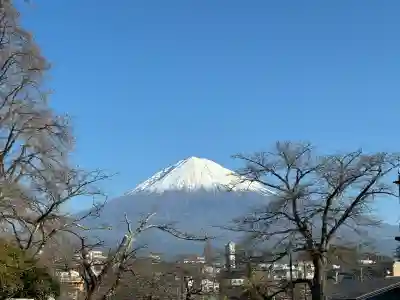 富士山本宮浅間大社(静岡県)