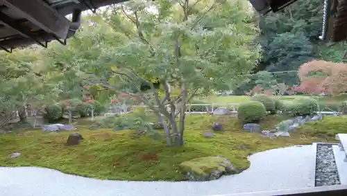 長壽寺（長寿寺）の庭園